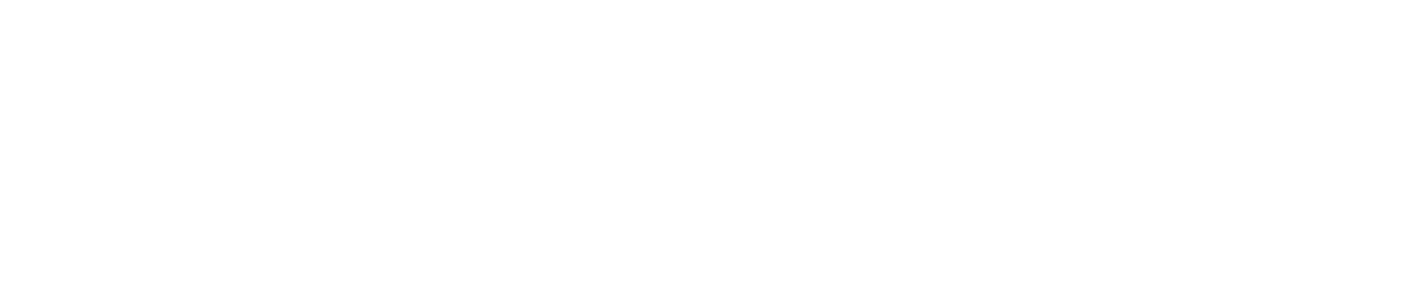 The IT Guy KC